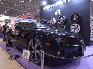 R0015969_2 R0015969_2