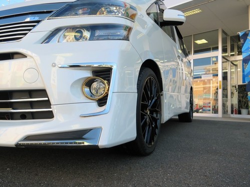 ゴールデンアイズ専用カラー