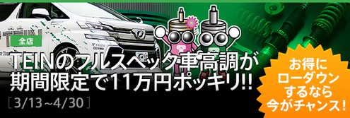 TEINキャンペーン