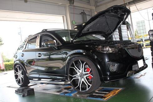 IMG_3056ksne (2).JPG