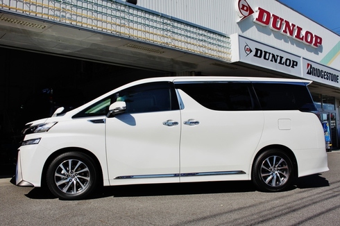 IMG_5074vggf (2).JPG