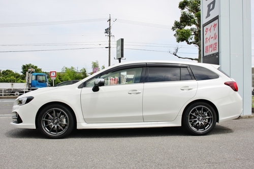 IMG_0778rvoz (7).JPG