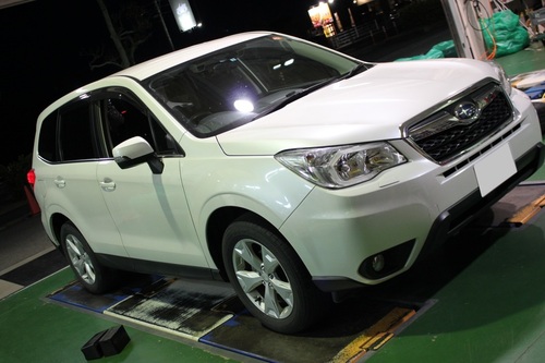 IMG_3772lvvv (1).JPG