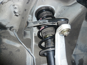 P1010628_2 P1010628_2